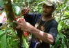 UK supporting collection of vital rainforest data in PNG