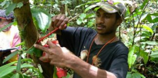 UK supporting collection of vital rainforest data in PNG