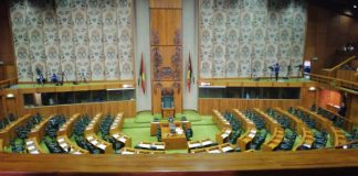 Efforts to support Women into PNG National Parliament underway