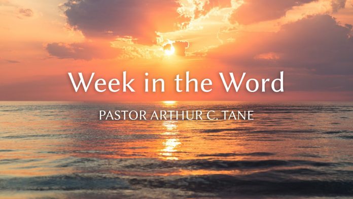 Sunday-19-April-Opener