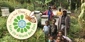 Beekeepers abuzz in sweet new Pacific project