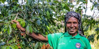 EHP coffee growers receive training for sustainably grown coffee certification