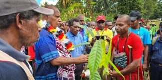 Maru pushes for Downstream Processing of Cocoa