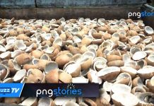 White Copra: The Game Changer in East New Britain