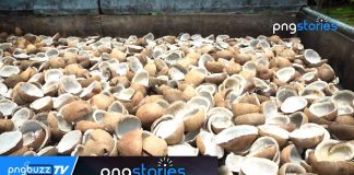 White Copra: The Game Changer in East New Britain