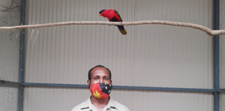 Pom Nature Park continues internship program