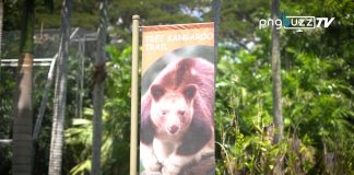 Pom Nature Park’s Kids For Conservation
