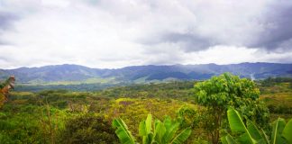PNG’s price on biodiversity a win-win for people and planet
