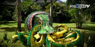 Trash to Treasure Sculpture Festival Launched