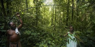 World Environment Day: “Protecting our Forest and Marine Ecosystems”