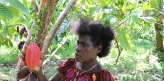 Local family sees life-changing benefits of Cocoa