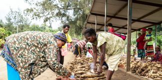New markets identified for PNG kaukau farmers