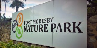 Did you know PNG is home to the World’s Longest Lizard?