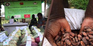 Bougainville chocolate festival 2023 underway